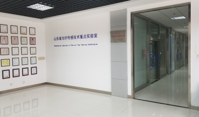 光纤传感器及安全物联网国际联合...